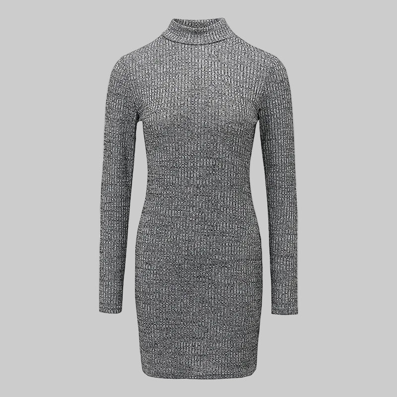 Ribbed Roll Neck Knitted Mini Dress