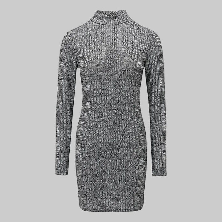 Ribbed Roll Neck Knitted Mini Dress