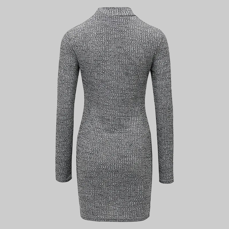 Ribbed Roll Neck Knitted Mini Dress